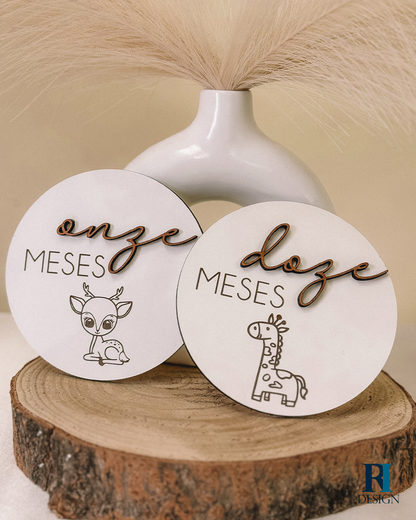 Milestones Modelo 5 - RI Design