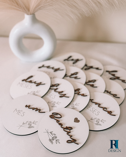 Milestones Modelo 4 - RI Design