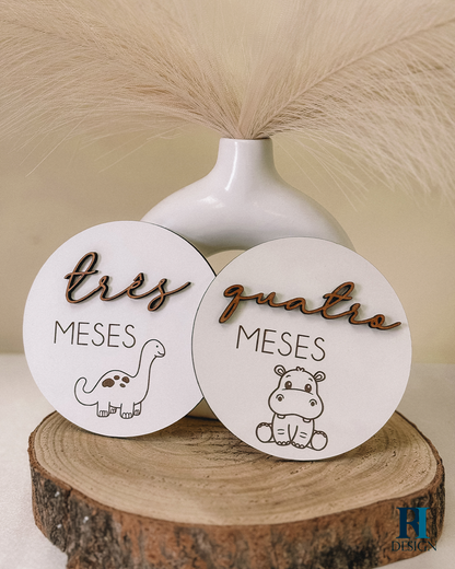 Milestones Modelo 5 - RI Design