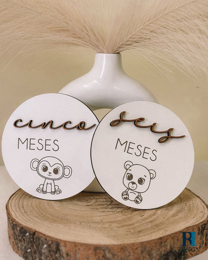 Milestones Modelo 5 - RI Design