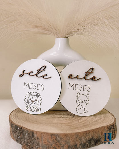 Milestones Modelo 5 - RI Design